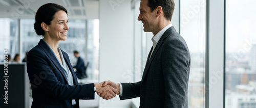 Business handshake, professionals agreeing, partnership, teamwork, office environment