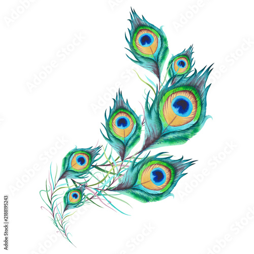 A circular frame made of peacock feathers. The illustration is done by hand in watercolor. A beautiful, bright, multicolored phoenix tail on a white background. Asian, Indian, and Japanese ornament.