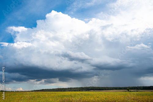 Bild auf Leinwand Dramatic storm clouds over green countryside landscape before rain