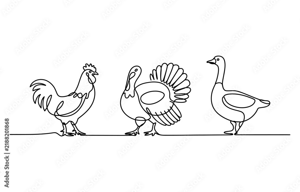 Fototapeta premium Continuous single line drawing of a rooster turkey and goose standing together as farm birds in a simple black and white minimalist artistic style