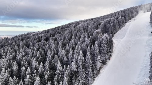 Aerial Frosted Fir Forest Beside Slope, Distant Valley Light, Crisp Winter Air, Empty Run Edge, Panoramic