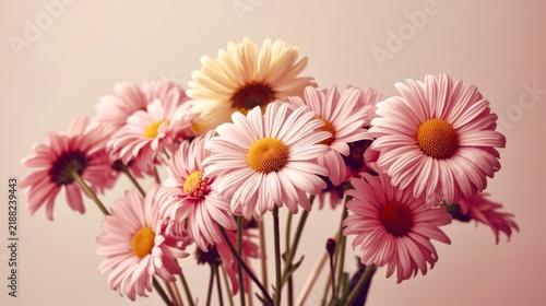 Pink daisies bloom softly against a warm, muted backdrop