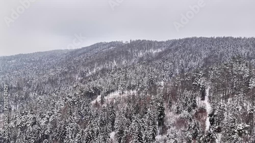Aerial Snowcovered Forest With Winding Road, Dense Frosted Canopy, Muted Overcast Sky, Remote Access Track,