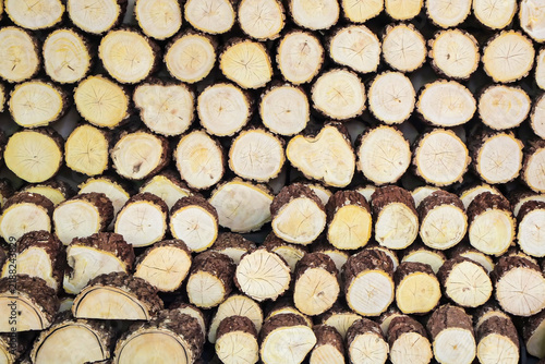 Thanaka is a natural cosmetic and therapeutic paste sourced primarily from the bark of the wood-apple tree. 