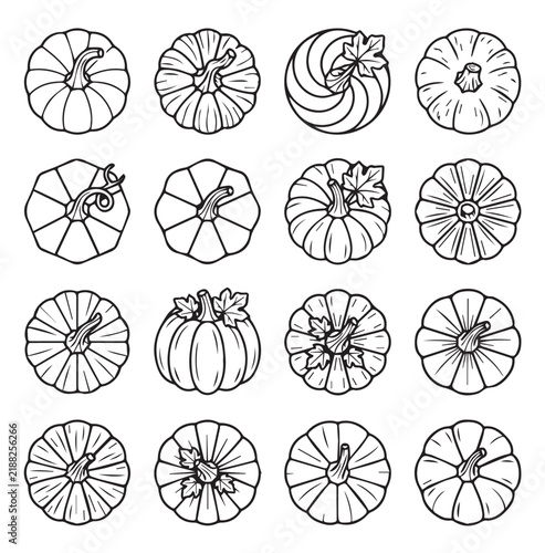 Collection of outline pumpkins with stems and leaves during autumn season in a clean white background