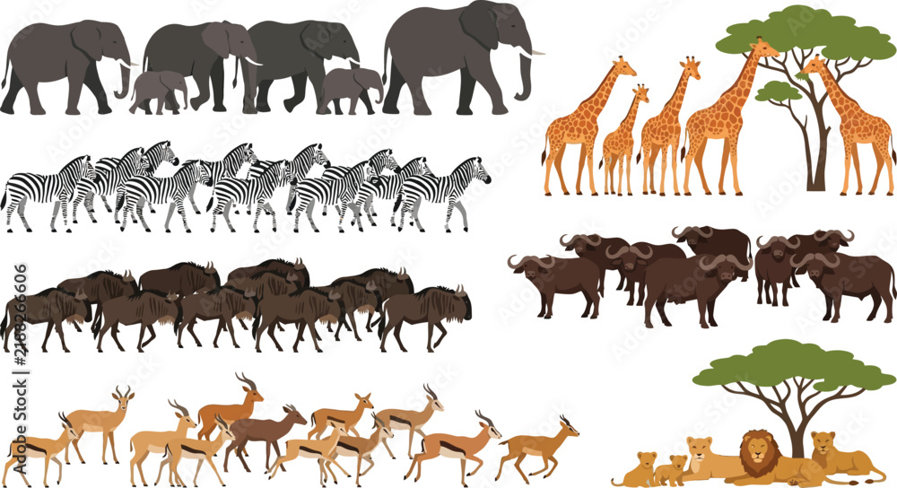 Fototapeta premium African Safari Animals grouped in herds during daylight vector illustration with savanna trees