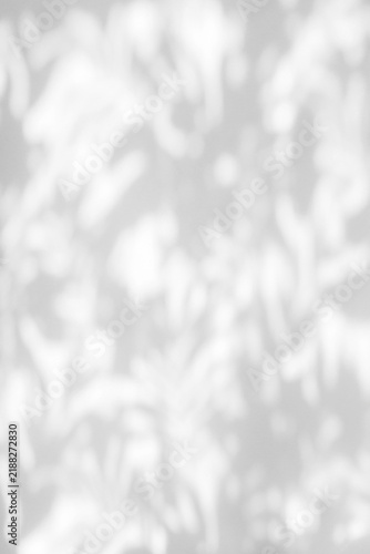 Soft lace curtain or leaf shadow overlay on white wall background