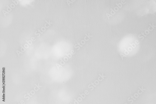 Abstract soft leaf shadows framing white wall backdrop