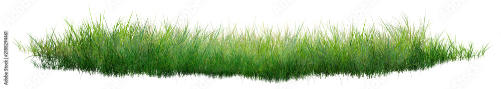 Fototapeta premium green grass background/Sharp green grass isolated on a clean white background, ideal for nature, gardening, landscape, and design projects.