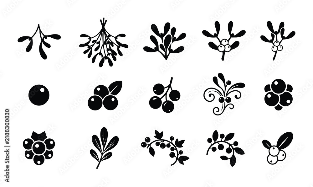 Obraz premium Berry and mistletoe icon set for winter and holiday design outline, solid and color styles, white background