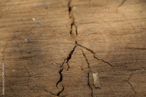 Картината върху платно Cracked wooden surface with grooved fissures; texture background and wallpaper