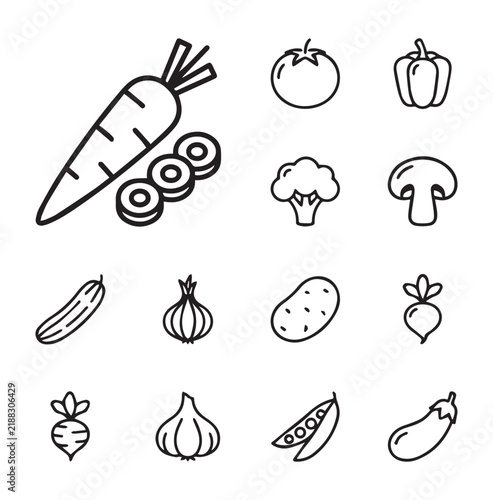 Fresh vegetables arranged in a clean simple line art collection with white background for easy use