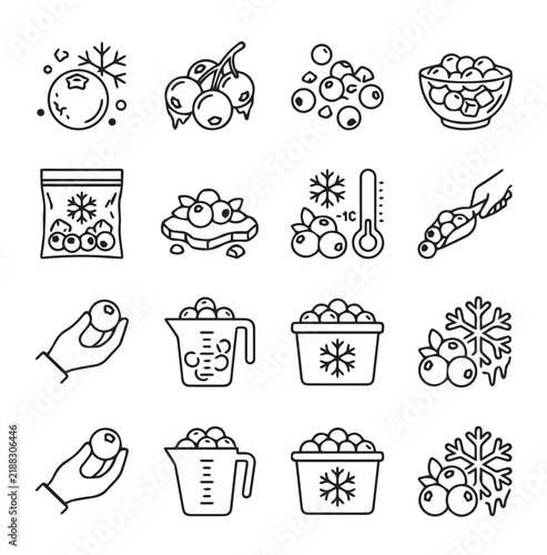 Frozen blueberries icons with snowflakes and temperature symbols in a modern line art style for healthy food concepts