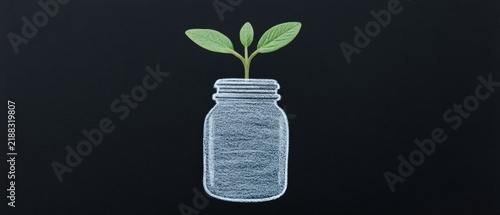An artistic illustration featuring a glass jar with a delicate green plant emerging from it set against a black chalkboard backdrop representing the concepts of sustainability and the beauty of nature