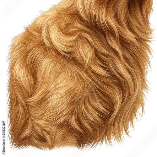 Closeup of golden brown animal fur texture isolated on transparent background