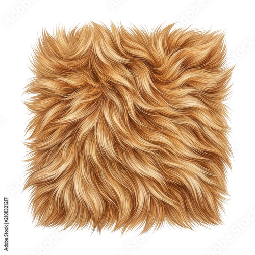 Square texture of golden brown animal fur isolated on transparent background