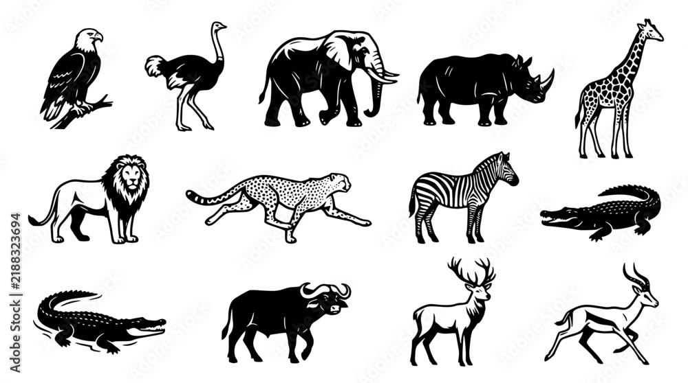 Fototapeta premium Detailed black and white vector graphic collection of wild animals