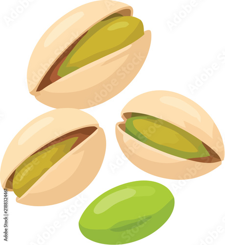 Delicious roasted pistachio nuts shown in a detailed flat vector illustration for healthy food culinary designs