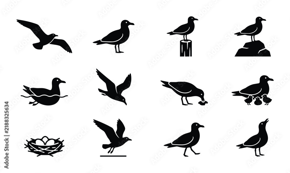 Fototapeta premium Seagull Icons, Bird Silhouettes, Wildlife Vector Set: Flying, Swimming, Nesting