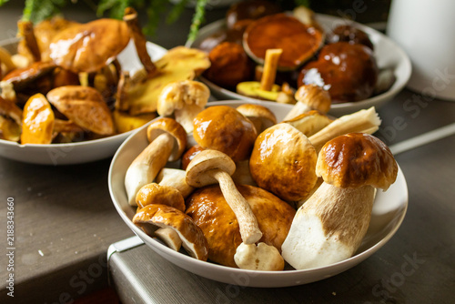 Cuadro en lienzo Cleaned porcini mushrooms are arranged in bowls on a kitchen counter after forest foraging