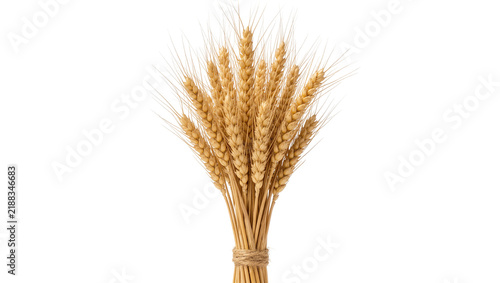 Foto Bundle of golden wheat stalks tied with twine, isolated on transparent backgroun
