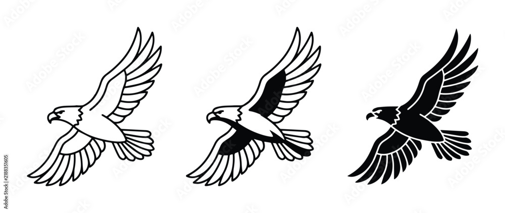 Obraz premium Eagle Vector Icons, Silhouette and Outline, Bird of Prey Flying, Freedom Symbol