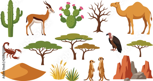Desert wildlife vector set, African savanna animals and flora collection, flat cartoon desert nature elements for education