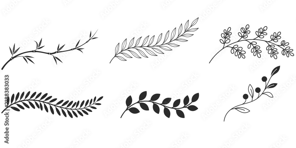Obraz premium Set of hand drawn botanical floral elements including various branches leaves and twigs for wedding design