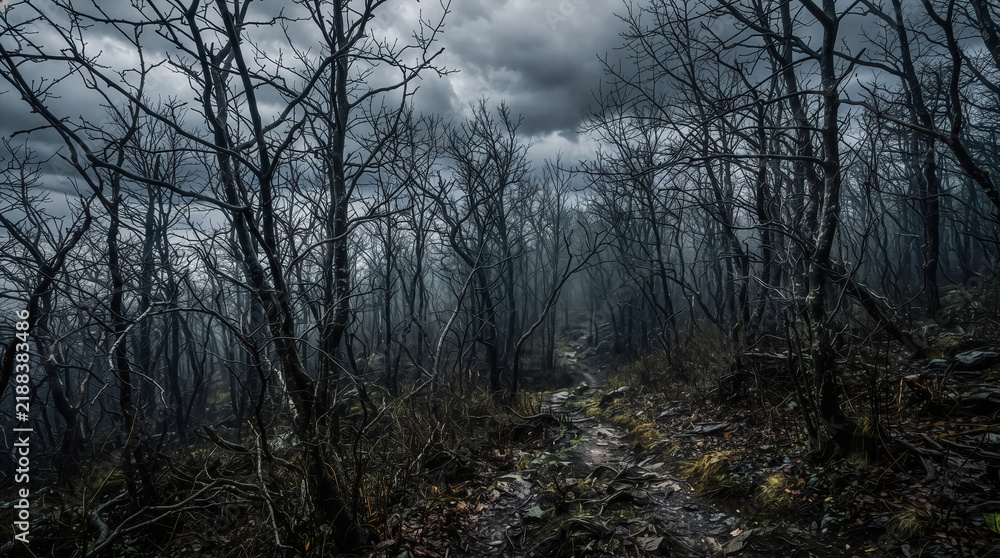 Fototapeta premium Halloween concept: A sinister forest with leafless trees under a dark, cloudy sky; a gloomy atmosphere.