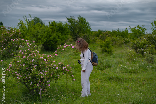 Beautiful woman hiker with curly hair admiring blooming dog rose flowers in May
