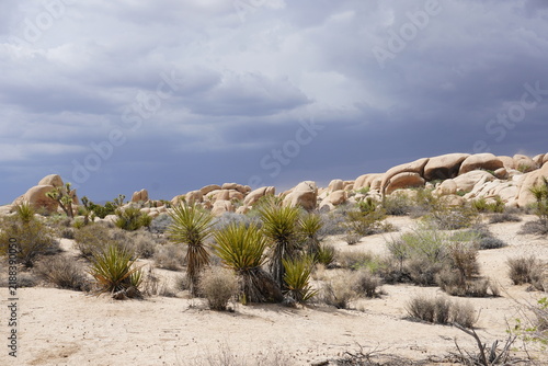 Scenic panorama of desert landscape with granite rocks and boulders under a cloudy sky in Joshua Tree National Park, California, United States of America