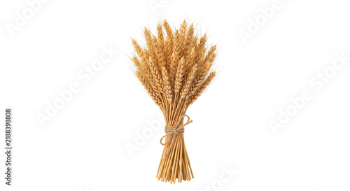 Foto Bundle of golden wheat stalks tied with twine on a white background