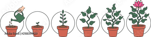 Plant Growth Cycle and Life Evolution Sequence in Pots Showing Watering Seeds Sprout Sapling Stem Leaves and Blooming Flower Flat Line Vector Set