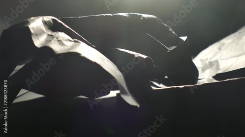 Abstract dark shapes and silhouettes moving in dramatic light.