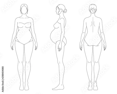 Maternity Fashion Croquis Pregnant Woman Body Figure Template Hairstyle Bun 3 Views Vector Illustration