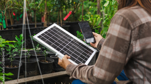 A person is sitting in a garden center, looking at a phone while holding a solar panel. Several potted plants surround them. It is daytime, and the area is busy with greenery