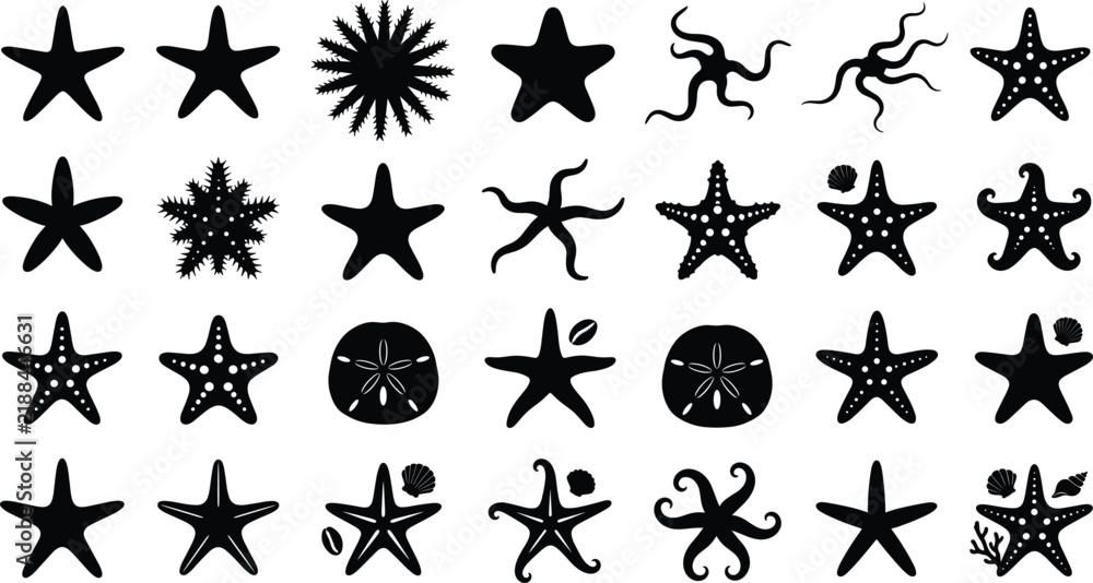 Fototapeta premium Starfish silhouette vector icon set with sand dollar echinoderm and marine life elements for summer beach designs