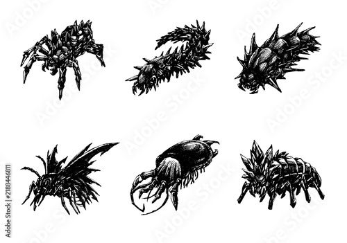 Obraz na płótnie original spiked dark fantasy insects, armored arthropod set, black ink drawing