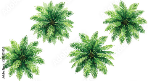 Top Down View Green Palm Trees Set Isolated on White Background Vector Illustration