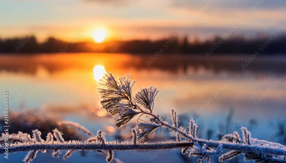 Obraz premium A Branch Of A Plant Covered With Frost Macro Nature Natural Background Sunset Sunrise Lake Shore The Reflection Of The Sky In The Water Copy Space
