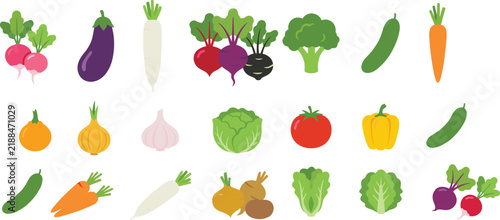 Fresh Vegetable Collection Featuring Radish, Eggplant, Daikon, Beetroot, Broccoli, Carrot, Tomato and Cabbage Flat Vector Illustrations