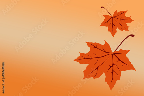 Two vibrant orange maple leaves floating against a warm autumn seasonal background.