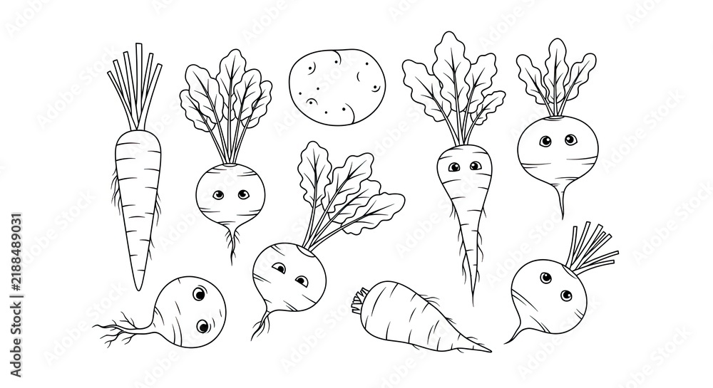 Fototapeta premium Monochrome line art vector illustration of various cute smiling root vegetables including carrots, radishes, and a potato in a simple cartoon style.