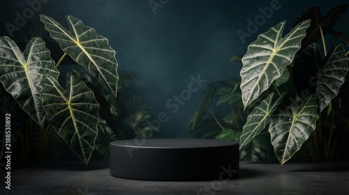 Dark podium surrounded by lush tropical greenery and mist