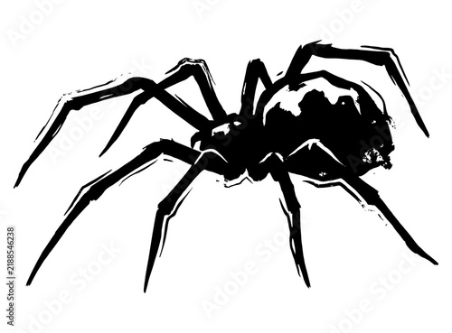 Cuadro en lienzo Creepy black widow spider illustration with long legs and detailed abdomen, repr