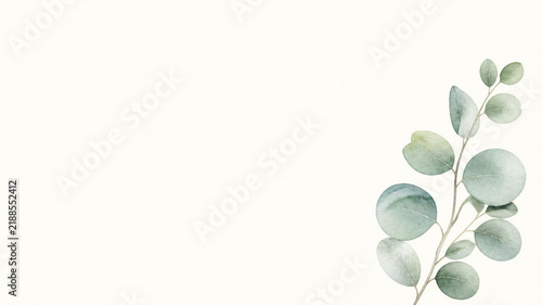 Obraz na płótnie green leaves on a white background