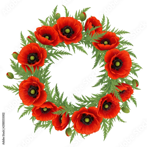 Red poppy flowers wreath illustration