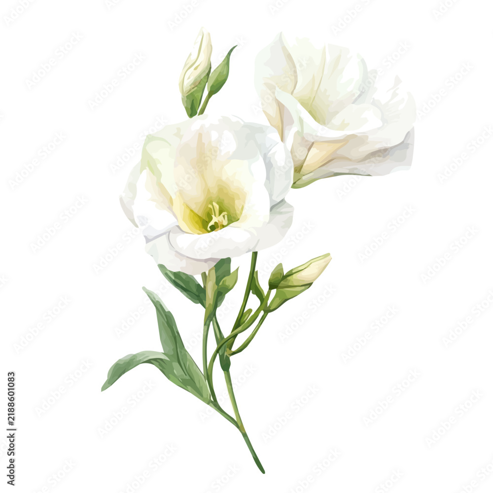 Obraz premium Lisianthus watercolor vector art, beautifully detailed hand-painted illustration isolated on a clean white background