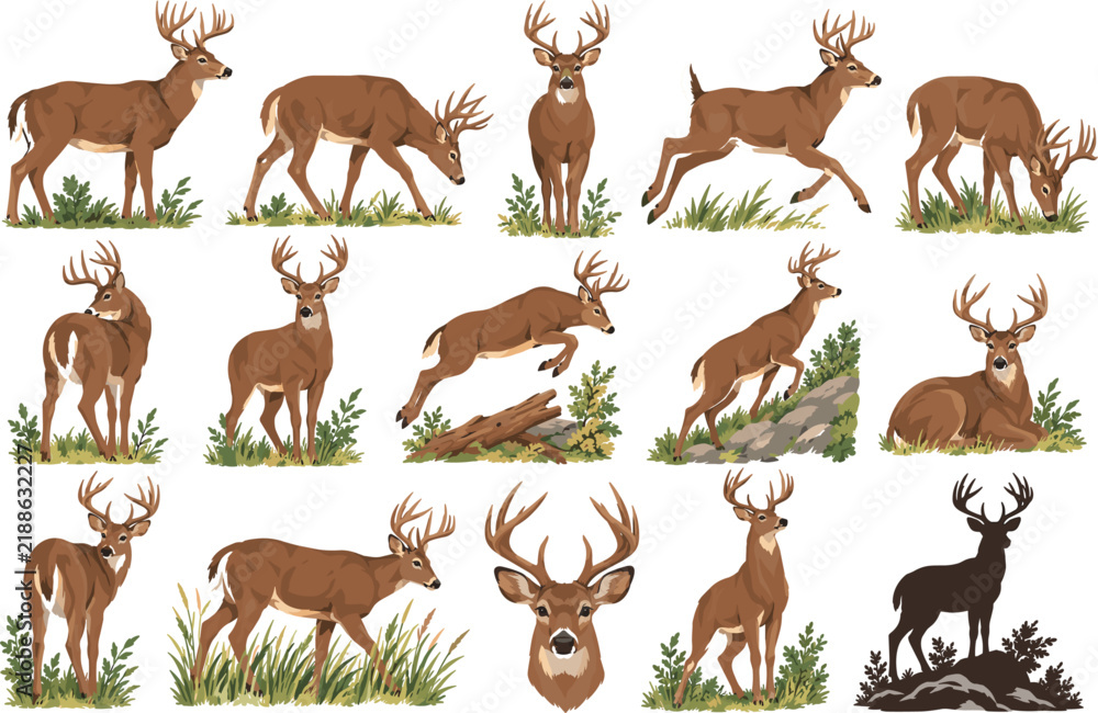Obraz premium Deer Cartoon Character Set with Buck, Antler and Silhouette in Grazing, Running and Standing Poses, Wildlife Vector Illustration