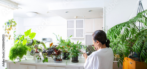 Tapety artystyczne 趣味の観葉植物を手入れする日本人のシニア女性